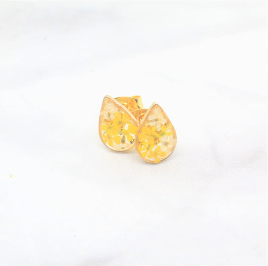 Pressed Flower Studs, Yellow, White, Gold Teardrop Posts, Dry Flower Earrings, Pressed Flower Jewelry, Real Flowers Jewelry, Pressed Flowers