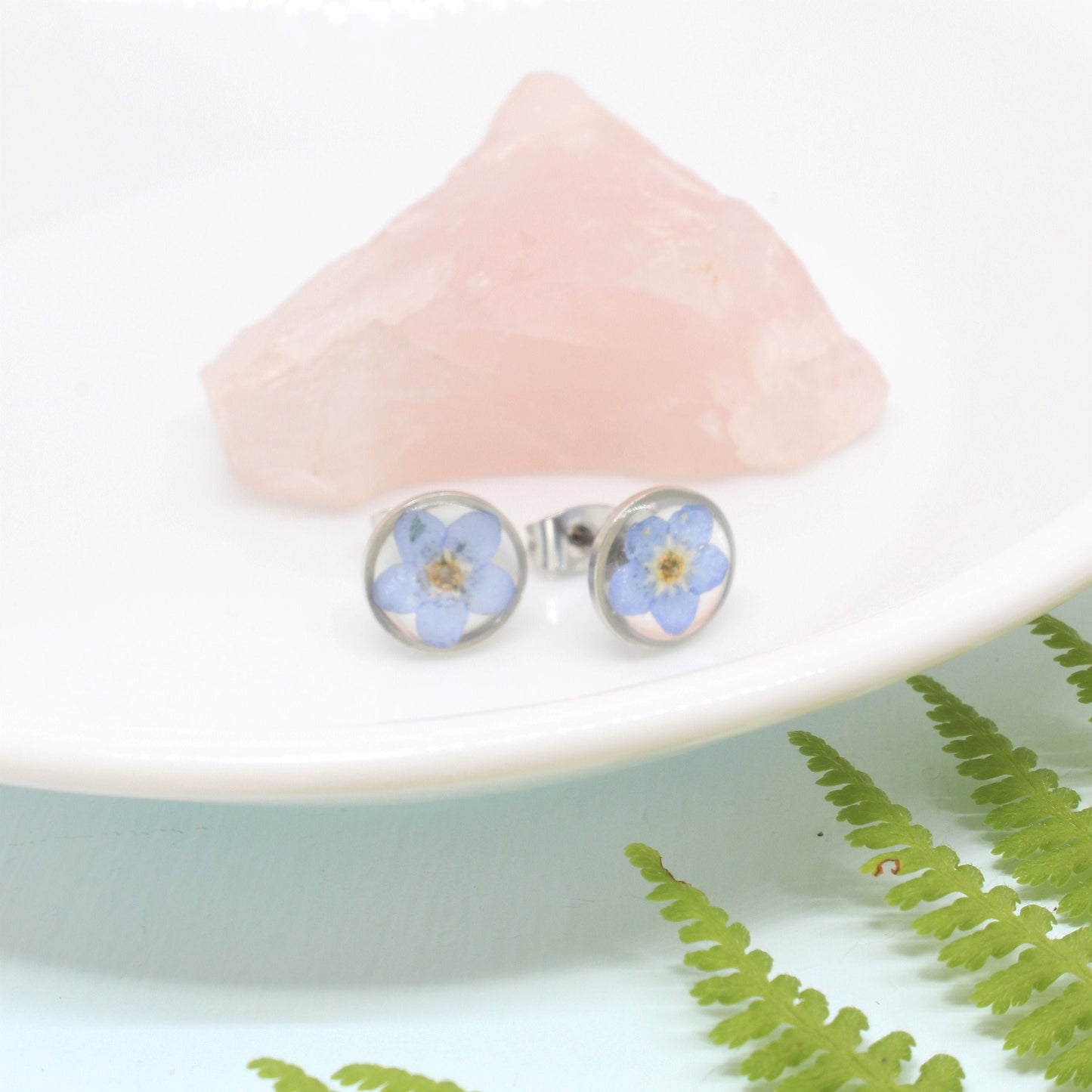 Pressed Flower Earrings, Blue Forget-me-not Studs, Silver Circle Earring, Hypoallergenic titanium Jewelry, Real DriyFlowers Resin Plant Stud
