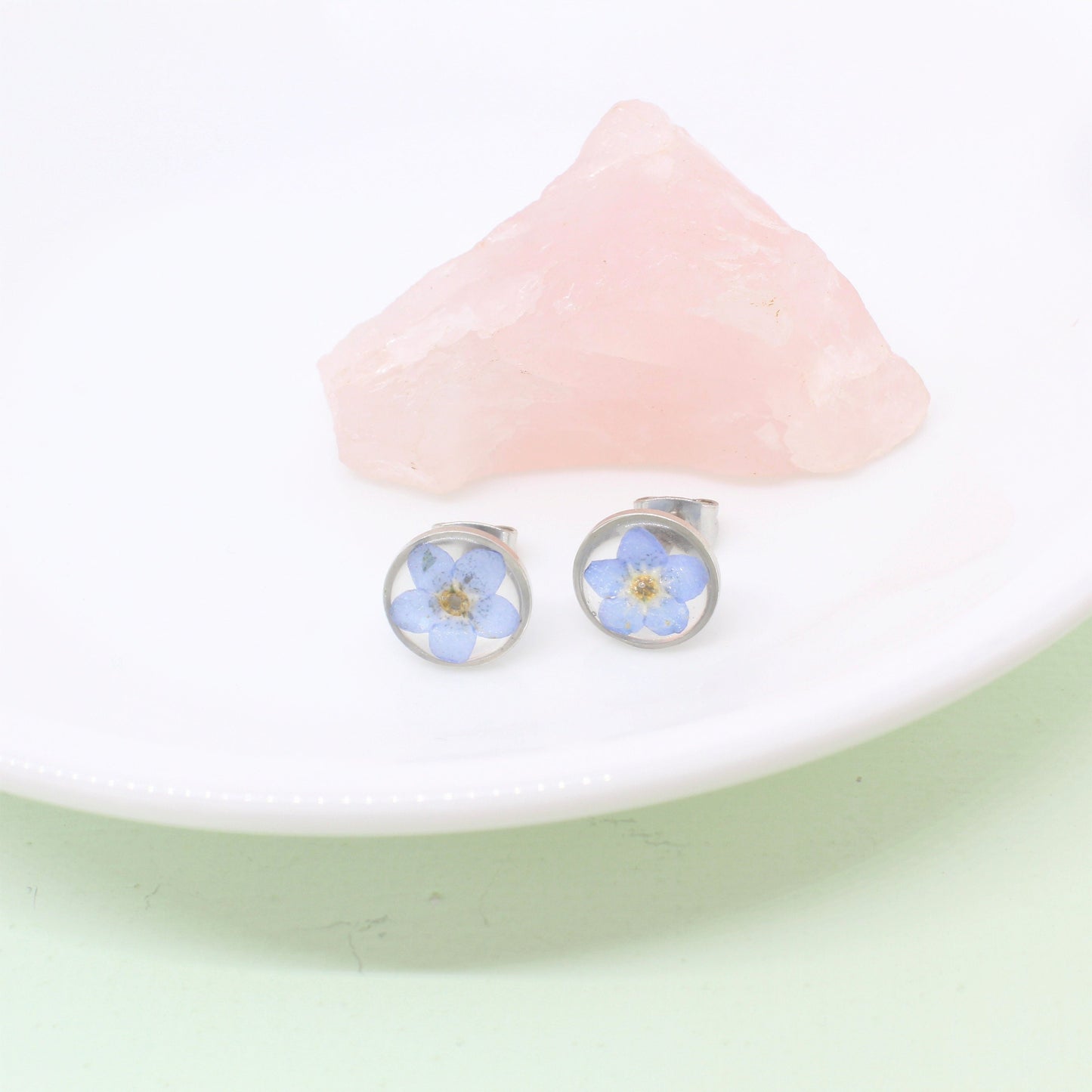 Pressed Flower Earrings, Blue Forget-me-not Studs, Silver Circle Earring, Hypoallergenic titanium Jewelry, Real DriyFlowers Resin Plant Stud