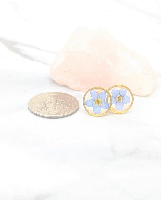 Pressed Flower Earrings, Forget me not Studs, Botanical Earrings, Pressed Flower Jewelry, Real Dried Blue Flower Studs, Hypoallergenic