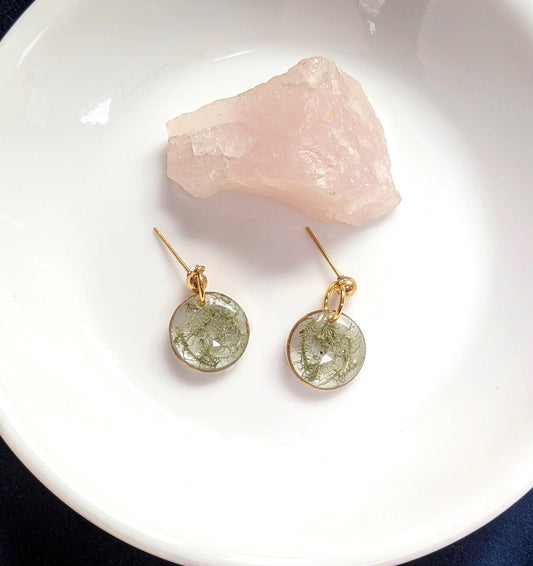 Moss earrings, real forest moss jewelry, plant dangles, nature jewelry for women, handmade resin gift, unique, terrarium studs, natural gift